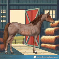 Horse Color:Red Roan 