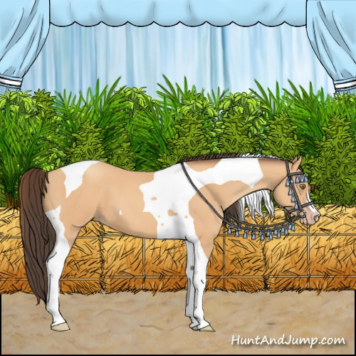 Horse Color:Amber Champagne Tobiano 