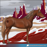 Horse Color:Chestnut 