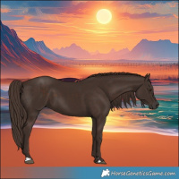 Horse Color:Liver Chestnut 