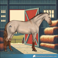 Horse Color:Red Dun 