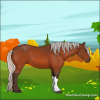 Horse Color:Silver Bay 