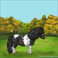 Horse Color:Brown Tobiano 