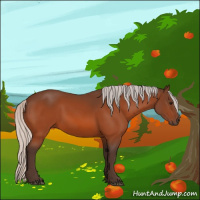 Horse Color:Silver Bay 