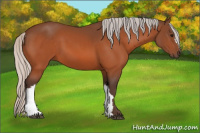 Horse Color:Silver Bay 