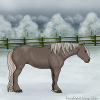 Horse Color:Silver Black 
