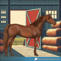 Horse Color:Chestnut 