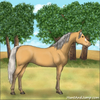 Horse Color:Silver Buckskin 