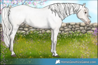 Horse Color:Silver Brown Roan Dun Varnish