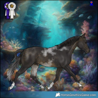 Horse Color:Buckskin Tobiano