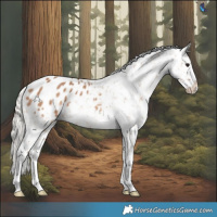 Horse Color:White Spotted Silver Brown Dun Appaloosa 