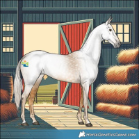 Horse Color:Gray Palomino 