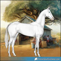 Horse Color:Smoky Creme Appaloosa 