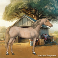 Horse Color:Red Roan 