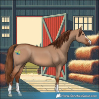 Horse Color:Red Dun 