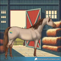 Horse Color:Red Dun 