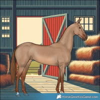 Horse Color:Red Dun 