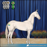 Horse Color:Perlino 