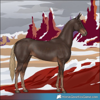 Horse Color:Liver Chestnut Rabicano 