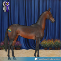 Horse Color:Brown 