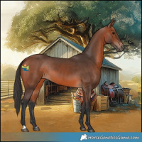 Horse Color:Bay 