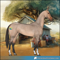 Horse Color:Bay Roan Dun Tobiano 