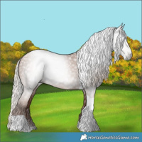 Horse Color:Gray Silver Black Pearl Tobiano 