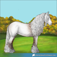 Horse Color:Gray Silver Black Pearl Tobiano 