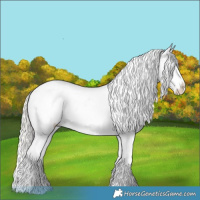 Horse Color:Silver Brown Dun Blanket 
