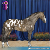 Horse Color:Buckskin Dun Blanket Brindle 