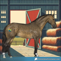 Horse Color:Buckskin Dun Brindle 