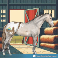 Horse Color:Buckskin Dun Blanket Brindle 