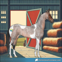 Horse Color:Brown Roan Tobiano 