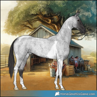 Horse Color:Smoky Blue Roan Tobiano 