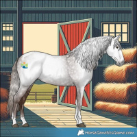 Horse Color:Gray Chestnut Splash Tobiano 