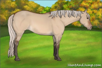 Horse Color:Silver Brown Dun Varnish 
