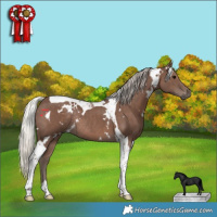 Horse Color:White Spotted Silver Black Tobiano Rabicano 