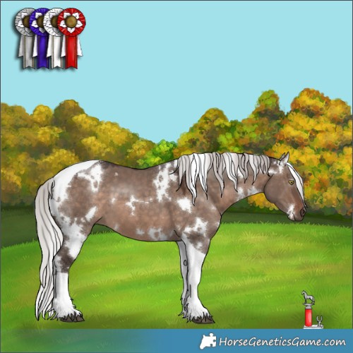 Horse Color:White Spotted Silver Brown Dun Mushroom Tobiano 