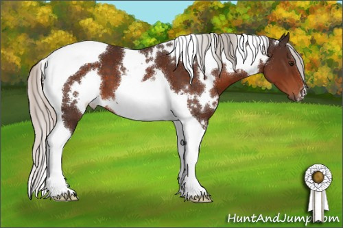 Horse Color:White Spotted Silver Brown Tobiano 
