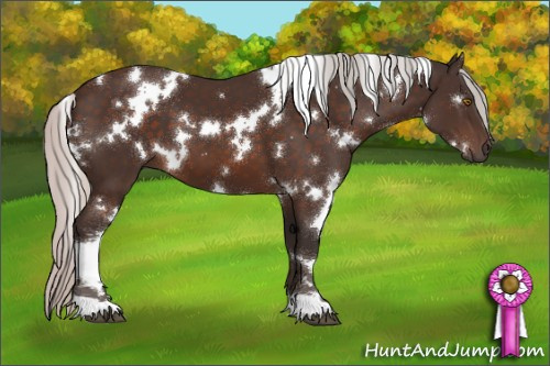 Horse Color:White Spotted Silver Brown Mushroom 