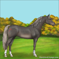 Horse Color:Silver Black 