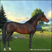 Horse Color:Brown 