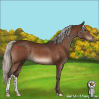 Horse Color:Silver Brown