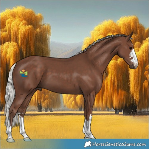 Horse Color:Silver Black 