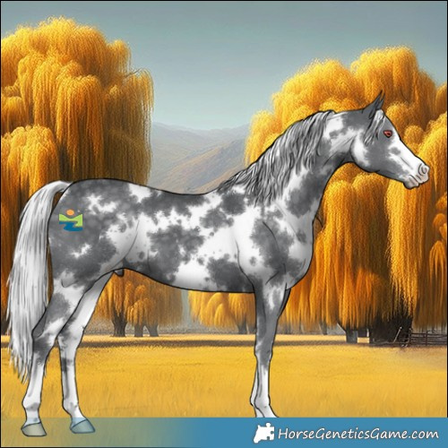 Horse Color:White Spotted Silver Black Chinchilla 