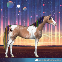 Horse Color:Painted Bay Ice Splash Tobiano Rabicano 