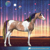 Horse Color:Painted Bay Ice Splash Tobiano Rabicano