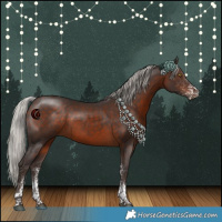 Horse Color:White Spotted Silver Brown Tobiano Rabicano