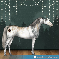 Horse Color:White Spotted Silver Buckskin Dun 