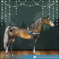 Horse Color:White Spotted Silver Buckskin Tobiano Rabicano